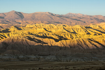 Wall Mural - Eroded landscape and rock towers in Zanda soil forest