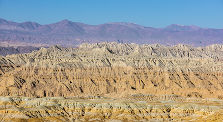 Wall Mural - Eroded landscape and rock towers in Zanda soil forest