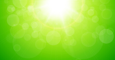 Wall Mural - Sun with lens flare and bokeh of lights, summer or spring natural green background as nature hot sunny day, vector illustration.