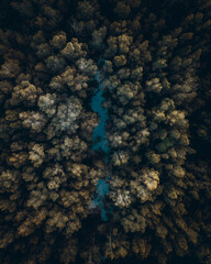 dark blue sky
