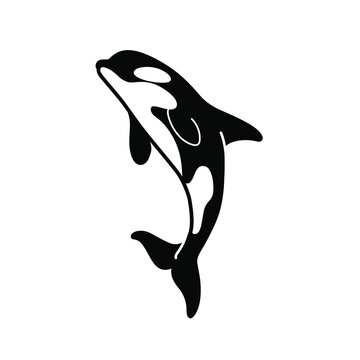Cartoon killer whale. Сute animal character. Vector illustration.