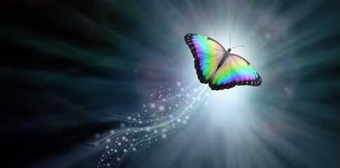 Beautiful Butterfly crossing into the light - dark blue grey background with a rainbow coloured butterfly and a trail of sparkles flying into the light depicting soul release
