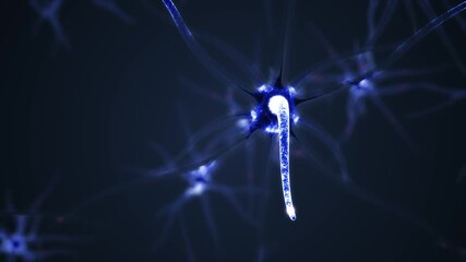 Wall Mural - 3D animation of Neurons. The lens moves quickly, from far to near. The focus is on the front and the background is blurred. The subject is on the right.