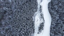 Top View Of Snowy Forest And Chairlift On The Winter Vacation In Carpathian Mountains. Traveling, Concept, Drone Shot