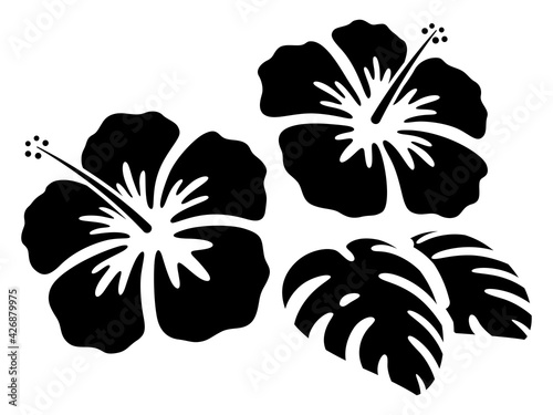 ハワイ アドビストックのデザイン かべいろ Com おしゃれ壁紙リフォーム貼り替え インクジェット壁紙のかべいろ Com