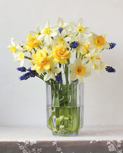 Bouquet Of Garden Yellow Daffodils.