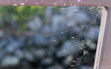 spider web hanging from a handrail