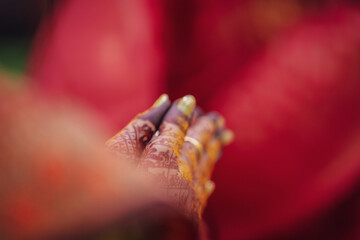 Canvas Print - indian wedding ceremony