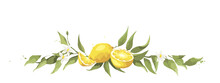 Summer Card With Lemon Branch. Design Elements With Citrus Fruits, Vector Illustration, Label.	
