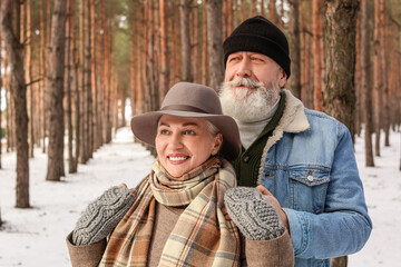 Poster - Happy mature couple in forest on winter day