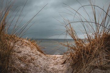 Wall Mural - behind the dune is the Baltic Sea and the sky is cloudy