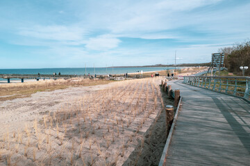 Wall Mural -  wooden footpath along the Baltic Sea in Boltenhagen