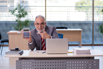 Aged businessman employee working in the office