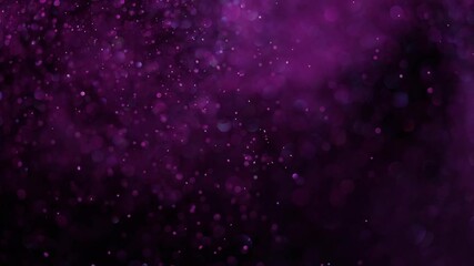 Poster - Beautiful sparkle bokeh on a black background in pink light. Slow motion.