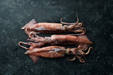 Fresh Squid With Spices On A Dark Stone Background. On A Dark Background.