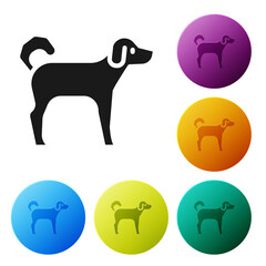 Poster - Black Dog icon isolated on white background. Set icons in color circle buttons. Vector