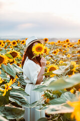 Wall Mural - young beautiful woman at sunflowers field on sunset