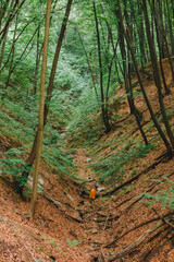 Wall Mural - man in yellow raincoat hiking by forest