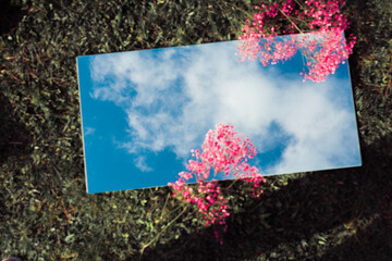 Amazing flat lay with the sky on a mirror, pink flowers and grass