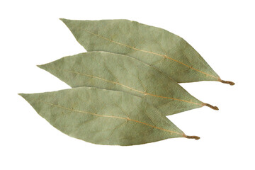 spices bay leaves isolated on white background. four bay leaves isolated on white from above. three 