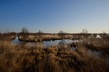  Im Wesuweer Moor