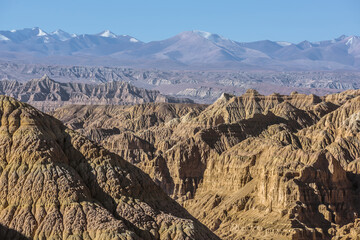 Wall Mural - Eroded landscape and rock towers in Zanda soil forest