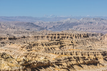 Wall Mural - Eroded landscape and rock towers in Zanda soil forest