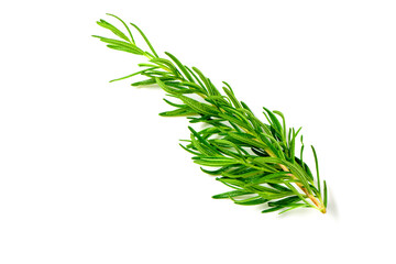 Wall Mural - Branch of fresh rosemary isolated on white background.