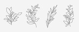 Fototapeta Boho - Set of flower icons on white background, isolated. Collection of floral signs for luxury minimalistic boho design. No fill and thin outlines plant symbols, garden and greenery with stem. Flower vector