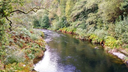 Wall Mural - Eo river, between Asturias and Galicia, near San Tirso de Abres village. Spain