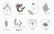 Beauty lavender collection.Vector illustration for icon,sticker,printable and tattoo