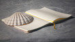 © Darío Peña - Concha de vieira sobre cuaderno en blanco