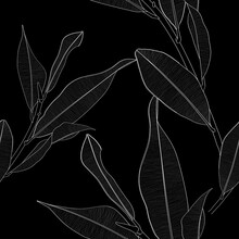 Seamless Pattern Background With Magnolia Branch With Leaf Drawing Illustration. Black White Line Illustration.