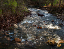 633-86 Otter Creek In Spring