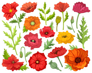 Wall Mural - Poppy flower vector cartoon icon set . Collection vector illustration poppy red on white background. Isolated cartoon illustration icon set of red flower for web design.