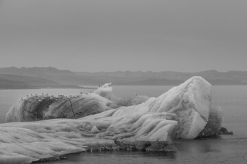 Wall Mural - Iceland