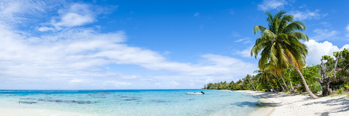 Wall Mural - panoramic view of a tropical beach with palm tree