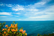 Beautiful seascape with flowers and ocean, Bali, Indonesia