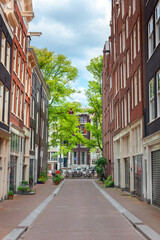 Wall Mural - street of amsterdam
