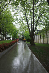 Poster - Walking in a rainy day