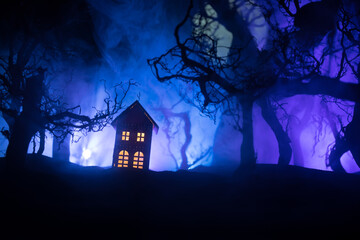 Old house with a Ghost in the forest at night or Abandoned Haunted Horror House in fog. Old mystic building in dead tree forest. Trees at night with moon. Surreal lights. Horror Halloween concept