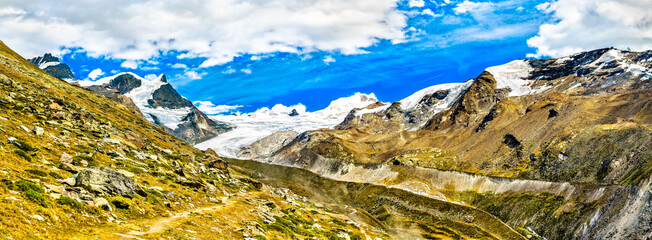 Canvas Print - Parnorama of Swiss Alps near Zermatt