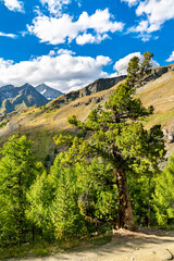 Canvas Print - View of Swiss Alps near Zermatt