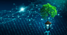 Tree With Soil Growing On  Light Bulb. Digital Convergence And And Technology Convergence. Blue Light And Network Background. Green Computing, Green Technology, Green IT, Csr, And IT Ethics Concept.