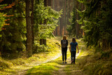 Fototapeta Miasto - Early spring - a backpacking walk through a beautiful green forest - Poland, Warmia and Masuria