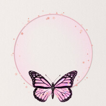 Shimmery Pink Butterfly Frame Circle Holographic Illustration
