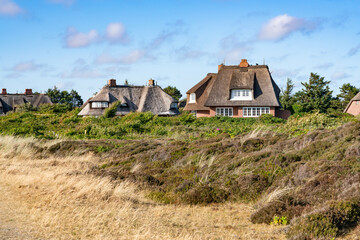 Wall Mural - traditional thatched roof houses on the island of sylt, schleswig-holstein, germany