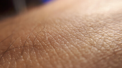 Wall Mural - Macro of human skin texture. Woman or girl skin. Dermatology pattern of healthy brown caucasian skin. Close up detail skin