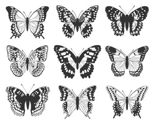 Collection of black and white butterflies. vector set.