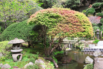 Canvas Print - Stone lantern and pond in traditional japanese garden, Kamakura, Japan